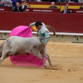 Castellón, Magdalena 2014