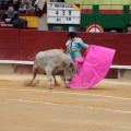 Castellón, Magdalena 2014