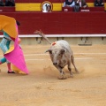 Castellón, Magdalena 2014