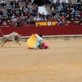 Castellón, Magdalena 2014