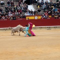 Castellón, Magdalena 2014