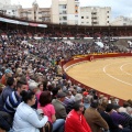 Castellón, Magdalena 2014