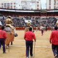 Castellón, Magdalena 2014