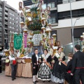 Castellón, Magdalena 2014