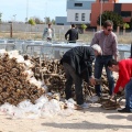 Castellón, Magdalena 2014