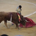 Castellón, Magdalena 2014