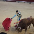 Castellón, Magdalena 2014