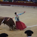 Castellón, Magdalena 2014