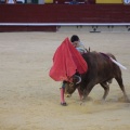 Castellón, Magdalena 2014