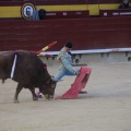 Castellón, Magdalena 2014