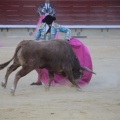 Castellón, Magdalena 2014