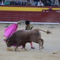 Castellón, Magdalena 2014