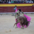 Castellón, Magdalena 2014