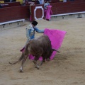 Castellón, Magdalena 2014