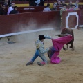 Castellón, Magdalena 2014