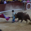 Castellón, Magdalena 2014