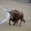 Castellón, Magdalena 2014