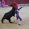 Castellón, Magdalena 2014