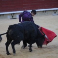 Castellón, Magdalena 2014