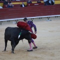 Castellón, Magdalena 2014