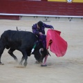 Castellón, Magdalena 2014