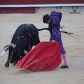 Castellón, Magdalena 2014