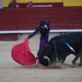 Castellón, Magdalena 2014