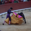 Castellón, Magdalena 2014