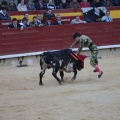 Castellón, Magdalena 2014