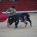 Castellón, Magdalena 2014