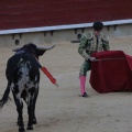 Castellón, Magdalena 2014