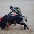 Castellón, Magdalena 2014