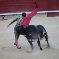 Castellón, Magdalena 2014