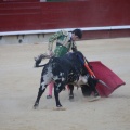 Castellón, Magdalena 2014