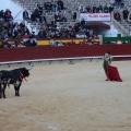 Castellón, Magdalena 2014