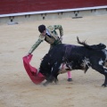 Castellón, Magdalena 2014