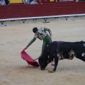 Castellón, Magdalena 2014