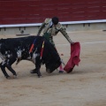 Castellón, Magdalena 2014