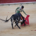 Castellón, Magdalena 2014