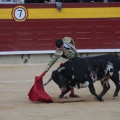 Castellón, Magdalena 2014