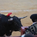 Castellón, Magdalena 2014