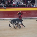 Castellón, Magdalena 2014