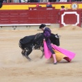 Castellón, Magdalena 2014