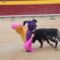 Castellón, Magdalena 2014