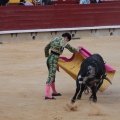 Castellón, Magdalena 2014