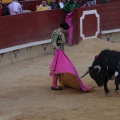 Castellón, Magdalena 2014