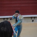Castellón, Magdalena 2014