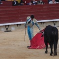 Castellón, Magdalena 2014