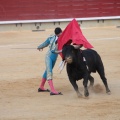 Castellón, Magdalena 2014