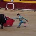 Castellón, Magdalena 2014